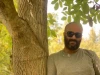 جشنواره ها پلی برای پویایی تئاتر 3
